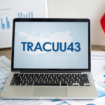 Tra cứu43